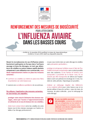 061216 renforcement biosecuite basse cour ia