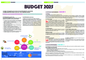 Budget