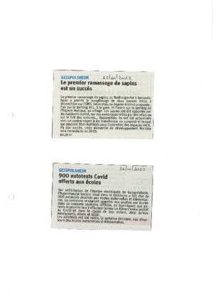 Le 1er ramassage de sapins est un succ%c3%a8s   900 autotests covid offerts aux %c3%a9coles