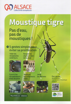Affiche compressed