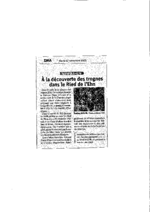Trognes dans le ried et lehn