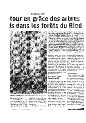 Le retour en gr%c3%a2ce des arbres t%c3%aatard dans les for%c3%aats du ried