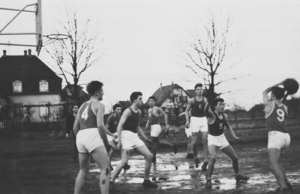Gare basket