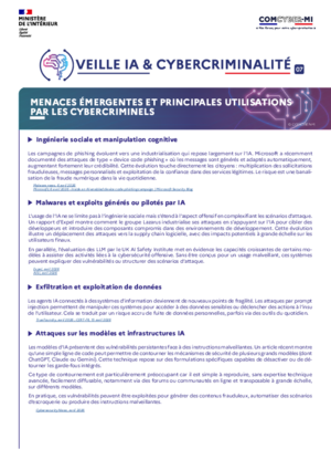 Veille ia   cybercriminalite  07