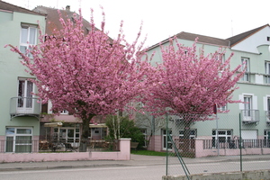 photo maison de retraite