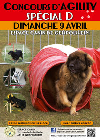 Concours d'agility spécial D dimanche 9 avril 2017