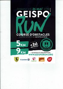 GEISPO RUN