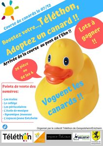 Affiche adopte un canard!