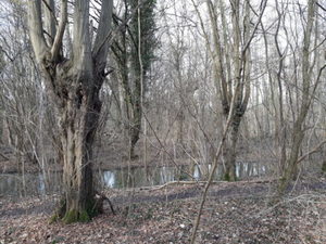 photo1