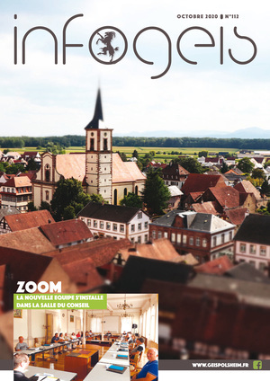 Infogeis  oct 2020 1